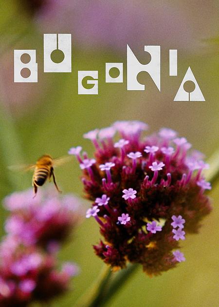 bugonia