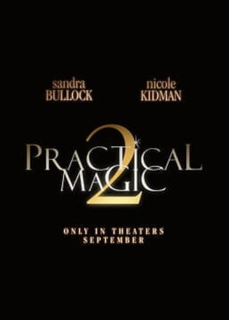AMORI & INCANTESIMI 2 (PRACTICAL MAGIC 2)
