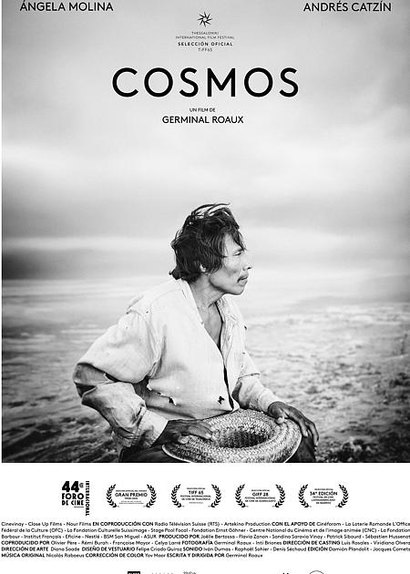 Cosmos